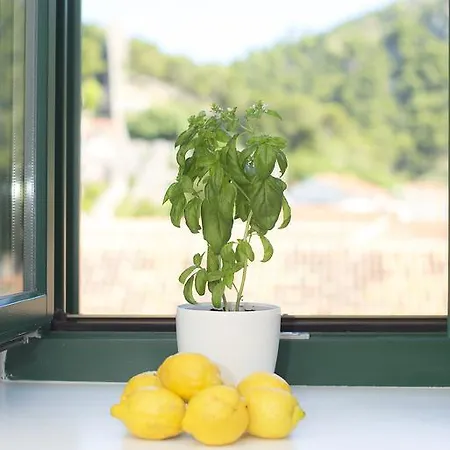 Гостевой дом And Kampanel