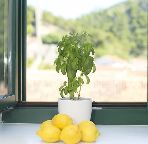 Gostinjska kuća And Kampanel