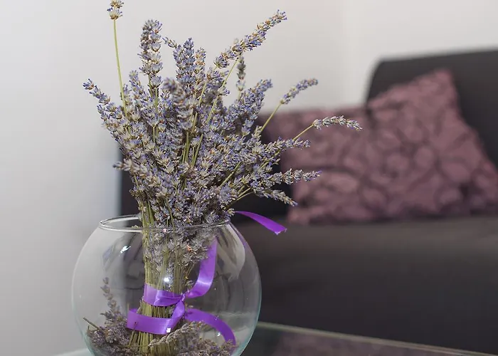 And Kampanel Gostinjska kuća Hvar Town