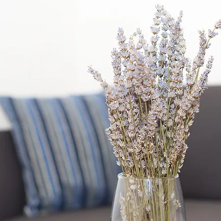 看姆潘内尔公寓和客房旅馆