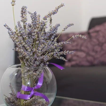 看姆潘内尔公寓和客房旅馆 招待所 赫瓦尔